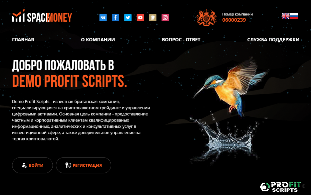 ������ ����� Calibri BLITZ SCRIPT Open Source