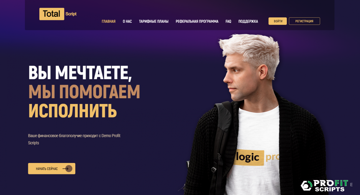 Script HYIP Blitz Script